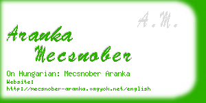 aranka mecsnober business card